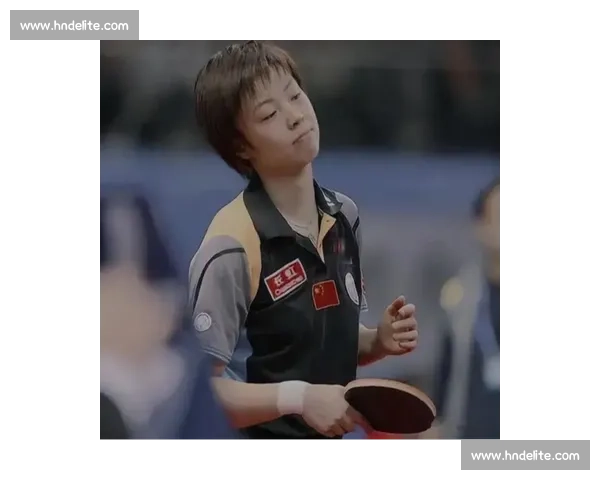 福原爱对决张怡宁乒坛经典交锋背后的时代记忆与精神碰撞传奇瞬间