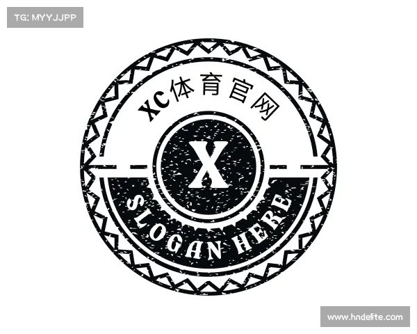 解读xc体育官网